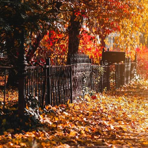 گفتم میخوای برم تو انکار نکردی حتی واسه موندن من اصرار نکردی